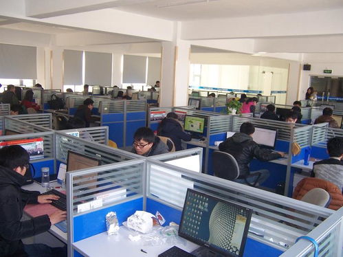 國子軟件官網 專業信息系統集成服務，助力企業數字化升級